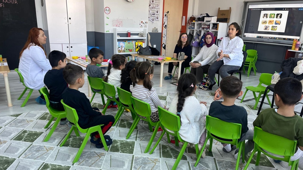 Sağlık Eğitimleri